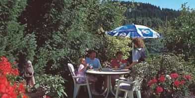 Pension Zur Schonen Aussicht 할렌버그 외부 사진